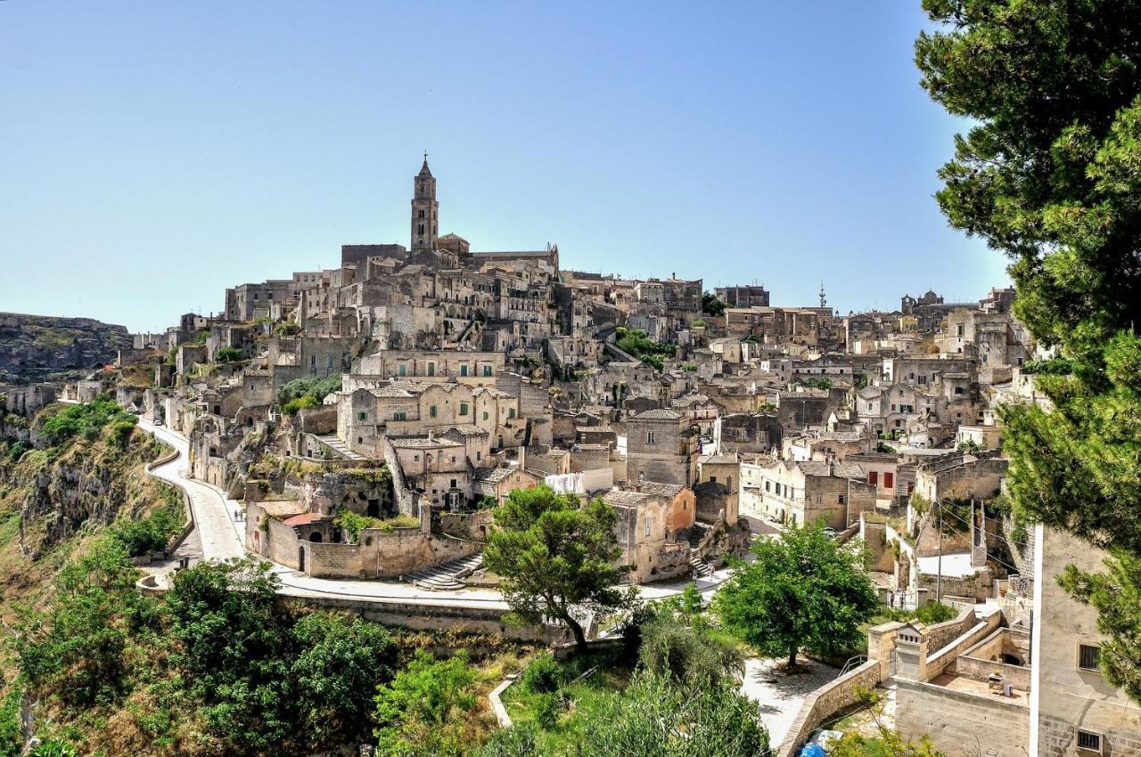 Saxaurea Matera